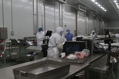 投产仅两月，产值超780万 贵州黄牛产业集团大方县公司肉牛屠宰显成效