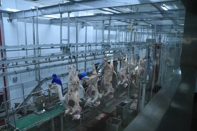 复工复产按下快进键，鹏都农牧肉牛产业航母发展再加速