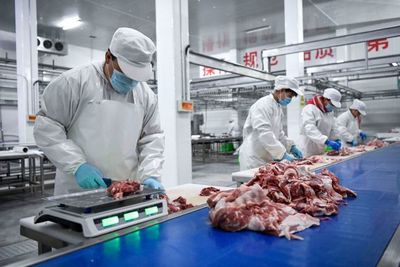 9个重点产业|宁夏肉牛和滩羊产业基础日益坚实 产业后端仍需发力